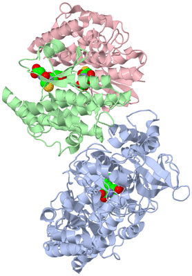 Image Biological Unit 1