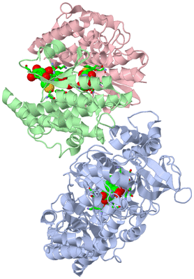 Image Biol. Unit 1 - sites