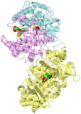 Image Biological Unit 2