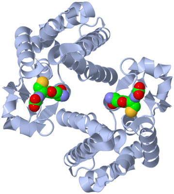 Image Biological Unit 1