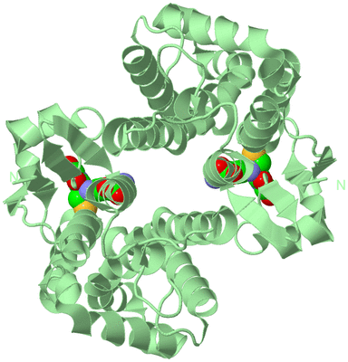 Image Biological Unit 2