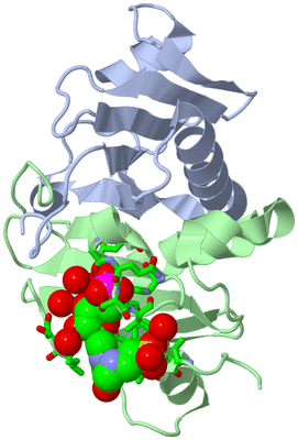 Image Asym./Biol. Unit - sites