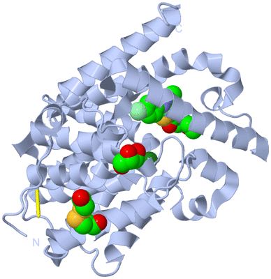 Image Biological Unit 1