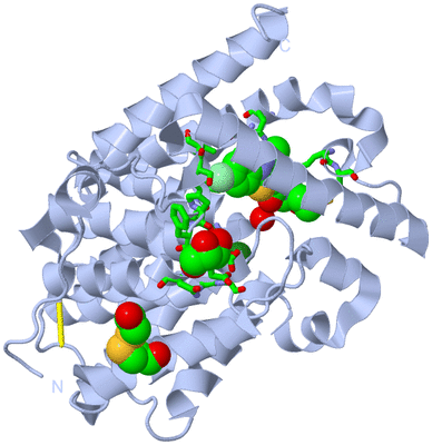 Image Biol. Unit 1 - sites