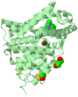 Image Biological Unit 2