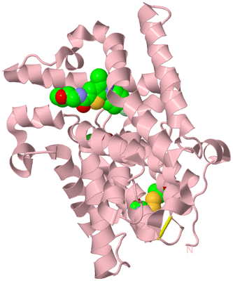 Image Biological Unit 3