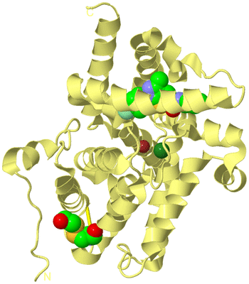 Image Biological Unit 4