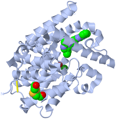 Image Biological Unit 1