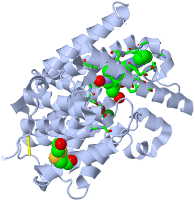 Image Biol. Unit 1 - sites