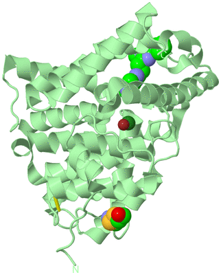 Image Biological Unit 2