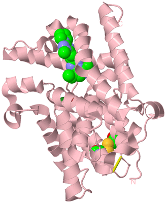 Image Biological Unit 3