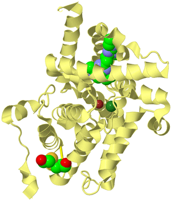 Image Biological Unit 4