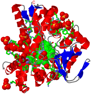 Image Asym./Biol. Unit - sites