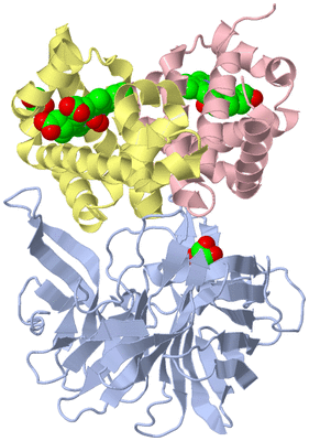 Image Biological Unit 1