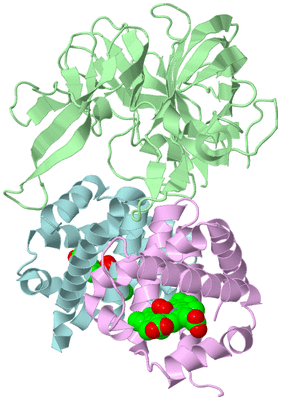 Image Biological Unit 2