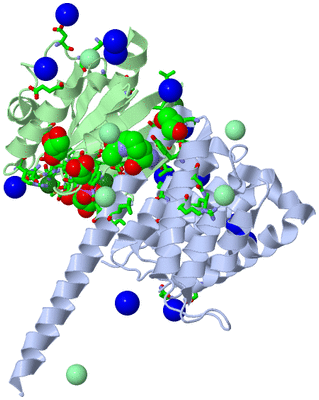 Image Asym./Biol. Unit - sites