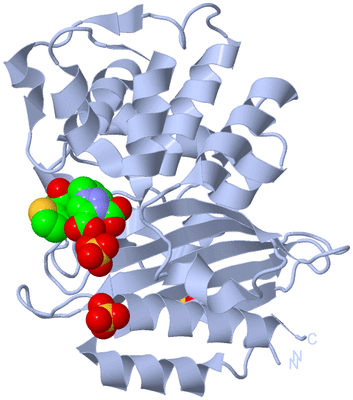 Image Biological Unit 1