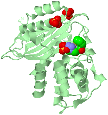 Image Biological Unit 2