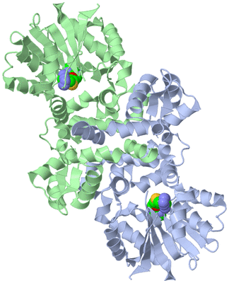 Image Asym./Biol. Unit