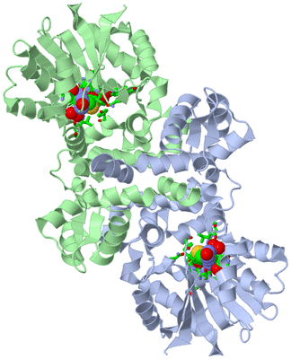 Image Asym./Biol. Unit - sites