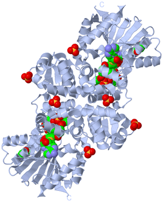 Image Biological Unit 1