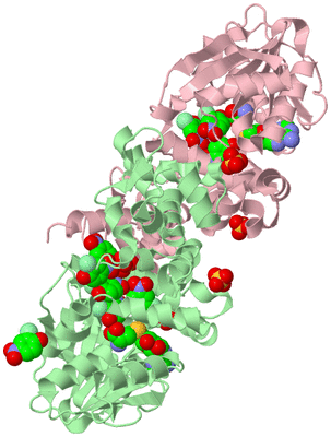 Image Biological Unit 2