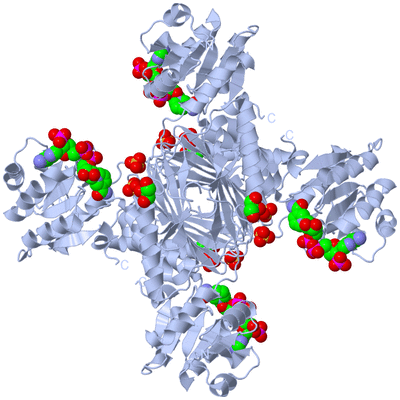 Image Biological Unit 1