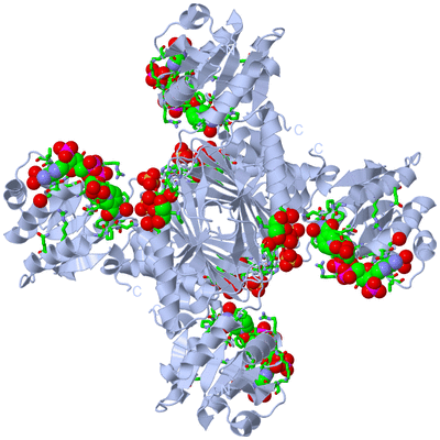 Image Biol. Unit 1 - sites