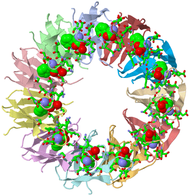 Image Biol. Unit 1 - sites