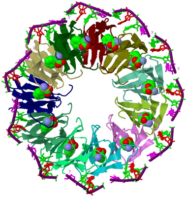 Image Biological Unit 2