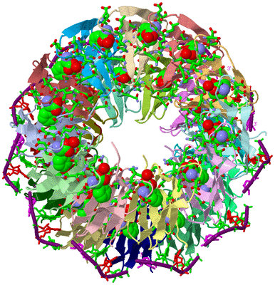 Image Asym. Unit - sites