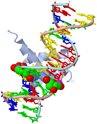 Image Biological Unit 1