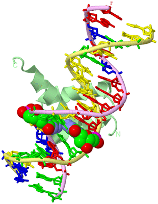 Image Biological Unit 2