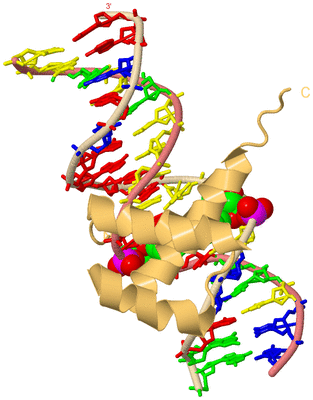 Image Biological Unit 3