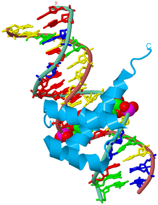 Image Biological Unit 4