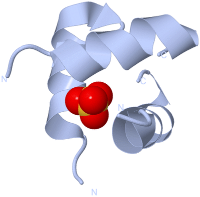 Image Biological Unit 1