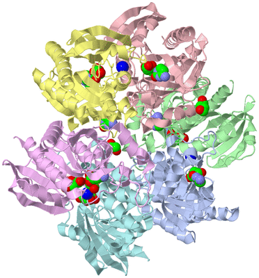 Image Asym./Biol. Unit