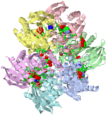 Image Asym./Biol. Unit - sites