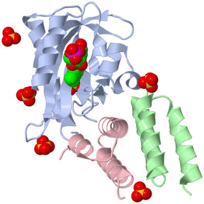 Image Asym./Biol. Unit