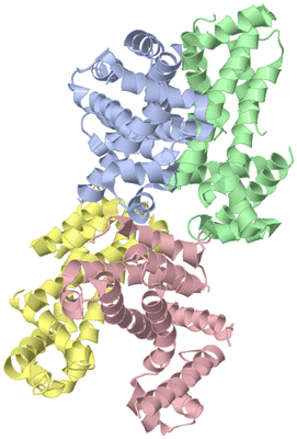 Image Asymmetric Unit