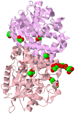 Image Biological Unit 2