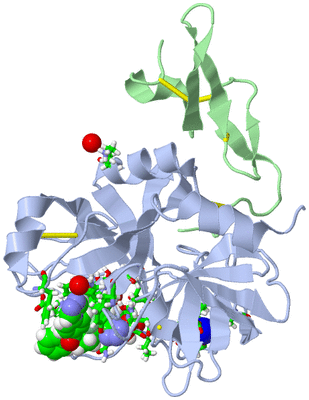 Image Asym./Biol. Unit - sites