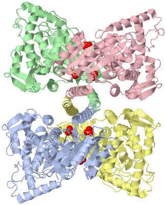 Image Asym./Biol. Unit