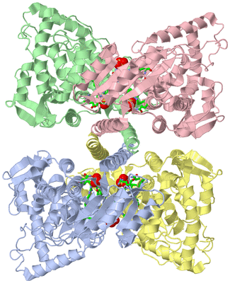 Image Asym./Biol. Unit - sites