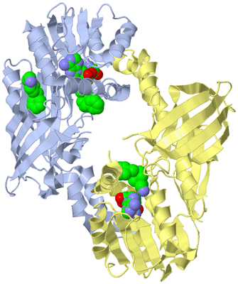 Image Biological Unit 1