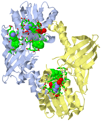 Image Biol. Unit 1 - sites