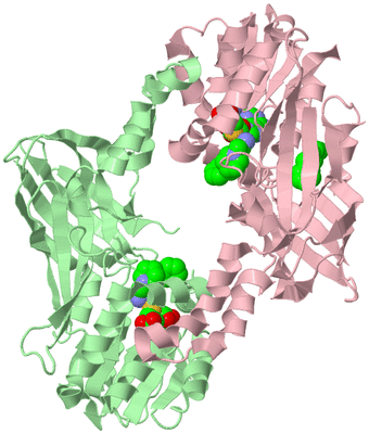 Image Biological Unit 2