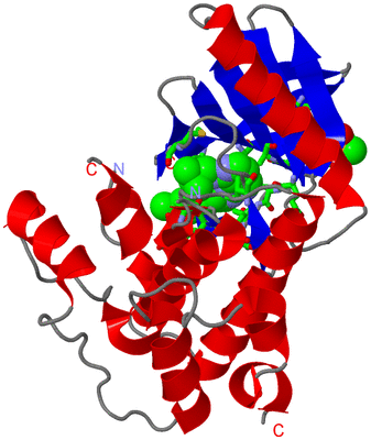 Image Asym. Unit - sites