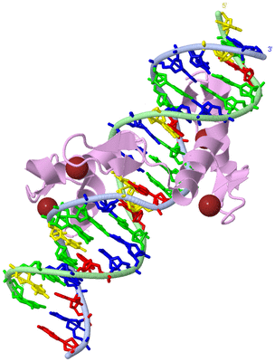 Image Biological Unit 2