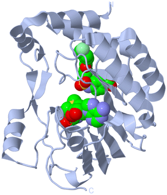 Image Biological Unit 1